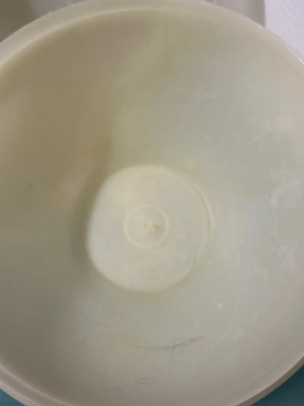 Set of Two Round Food Storage Containers in Pale Yellow